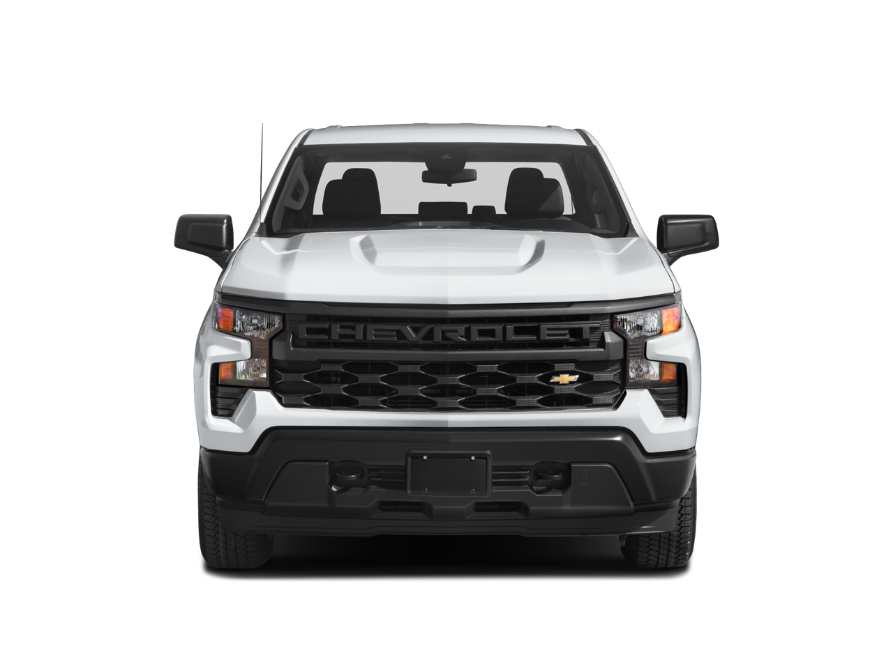 2022 Chevrolet Silverado 1500 LT Trail Boss photo 4