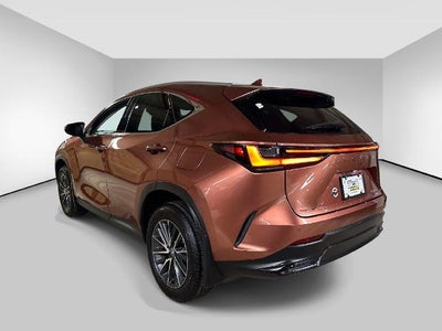 2025 Lexus NX NX 250