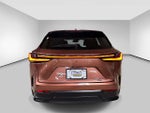2025 Lexus NX NX 250