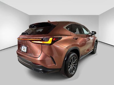 2025 Lexus NX NX 250