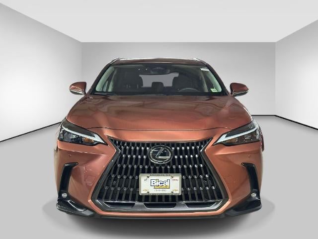 2025 Lexus NX NX 250
