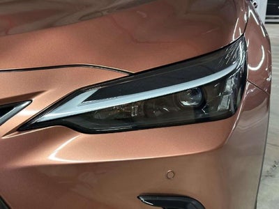 2025 Lexus NX NX 250