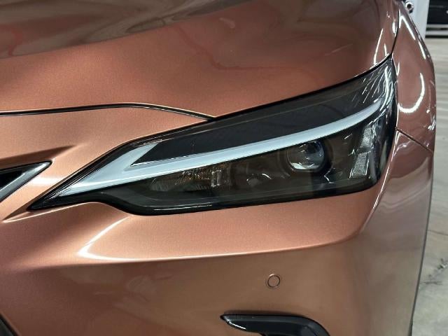 2025 Lexus NX NX 250